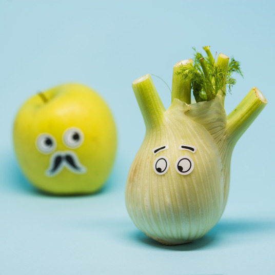 recettes, conseils diététiques