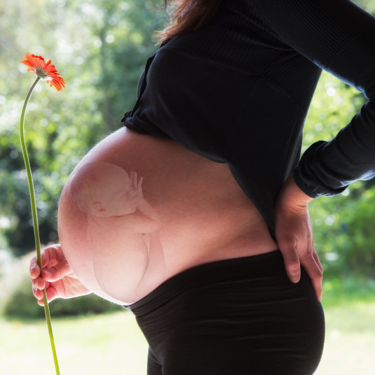 Grossesse et allaitement